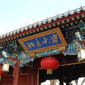 2007年北京大學(xué)項目